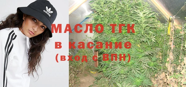 стаф Абинск