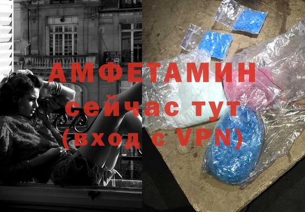 стаф Абинск