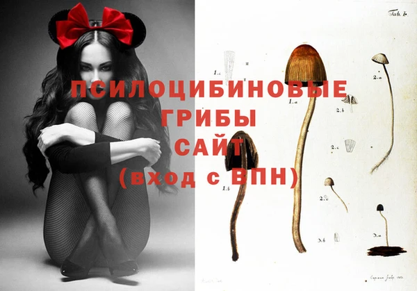 гидропоника Абаза