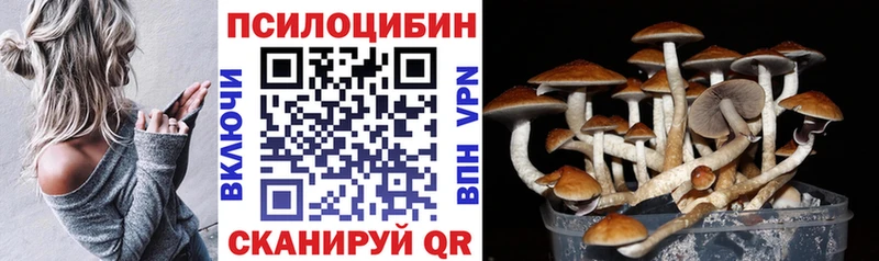 цена   Новоалтайск  Псилоцибиновые грибы ЛСД 