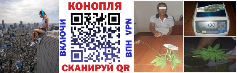 omg зеркало  Новоалтайск  Канабис Ganja 